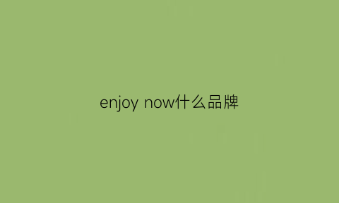 enjoynow什么品牌(nowenjoyyourself什么牌子)